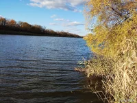 IMG_20241103_141918121.jpg