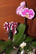 IMG_2548.jpg