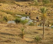 P2220194.webp