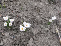 IMG_3299.webp