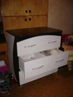image2.webp