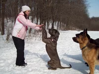 100_4927.webp