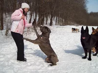 100_4926.webp