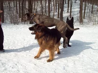 100_4909.webp