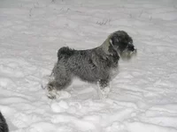  день 14января 2011 208.webp