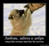 x_d379fa58.webp