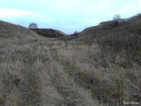 IMG_20241110_110818.jpg