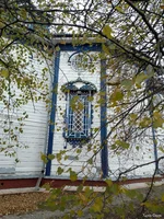 IMG_20241110_123843.webp