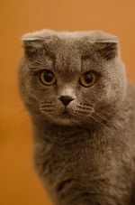 DSC_0844web.webp