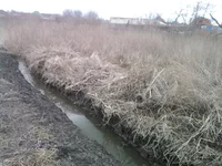 0065.webp
