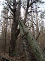 DSC02046.webp