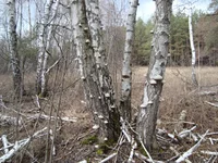 DSC02064.webp