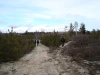 DSC02084.jpg
