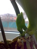 020420121317.jpg