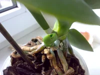 020420121315.webp