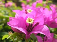 PC070121.webp
