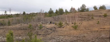 pano2.webp