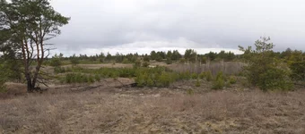 pano3.webp