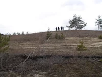 P4016345.webp