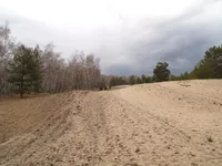 P4016377.webp