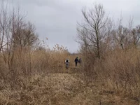P4016380.webp