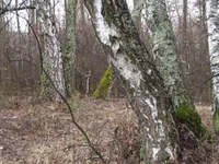 P4016379.webp