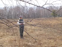 P4016375.webp