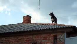 ATK_8179.webp