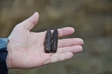 Опасные находки 1.JPG