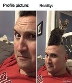 FB_IMG_1731788175725.jpg