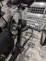 IMG_9565.jpeg