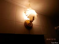 PC124837.JPG