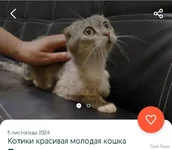 Screenshot_20241128-194032.webp
