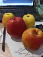 IMG_20241129_075225.webp