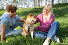 cute-shiba-inu-pet-with-family_23-2149428932.jpg