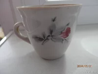 P5215389.webp