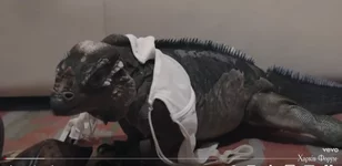 Screenshot_9.webp Screenshot_9.webp