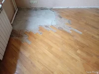 IMG20240927083301.jpg