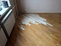 IMG20241008123153.jpg
