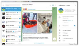  Live.webp