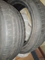 IMG_20241212_142621_612.jpg