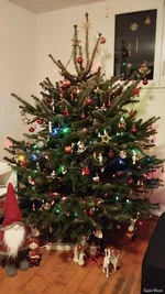IMG_20241214_204700_259.webp