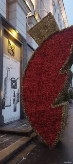 IMG_20241217_083534_661.jpg