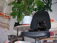 DSCN7328.webp