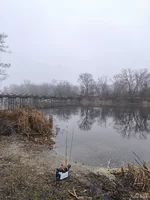 IMG_20241221_123456.jpg