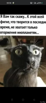 Screenshot_2023-09-27-08-58-00-92_f598e1360c96b5a5aa16536c303cff92.webp