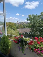 IMG_20240825_123415.jpg