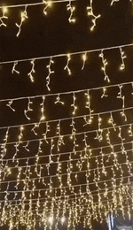 clideo_editor_bbe2d1310ef544fc9bc396ad3d6f51b0 (1) (1).gif