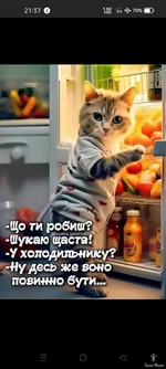 Screenshot_2023-11-28-21-37-45-32_f598e1360c96b5a5aa16536c303cff92.webp