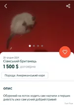Screenshot_20250109-183719.webp